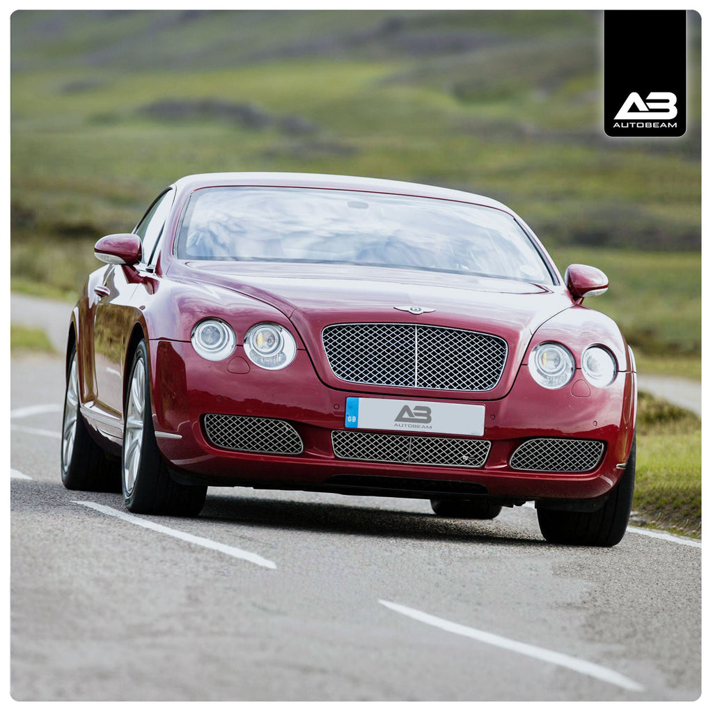 Bentley Continental GT - Сітки Zunsport
