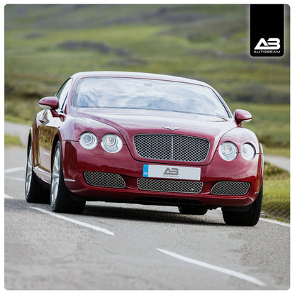 Bentley Continental GT - Сітки Zunsport