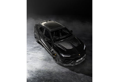 Lamborghini Urus Performante - Передня губа Carbon (2 частини)